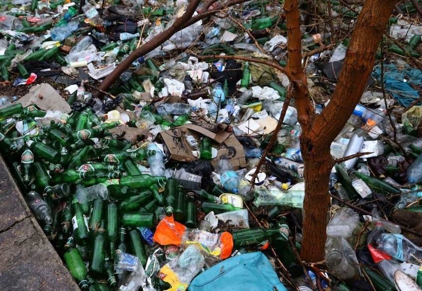 Dzikie wysypiska śmieci to duży problem mieszkańców Radomia....