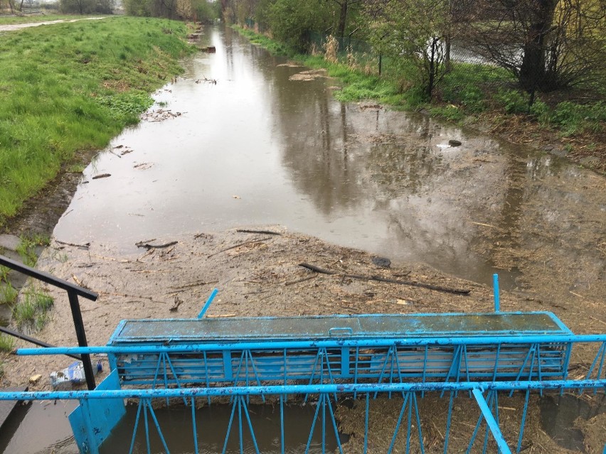 Pleszew. Poziom wody w Nerze coraz wyższy. Grożą nam lokalne podtopienia?