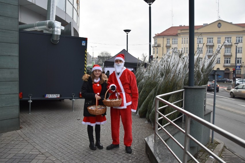 Mieszkańcy Sosnowca wymienili surowce wtórne na świąteczne choinki