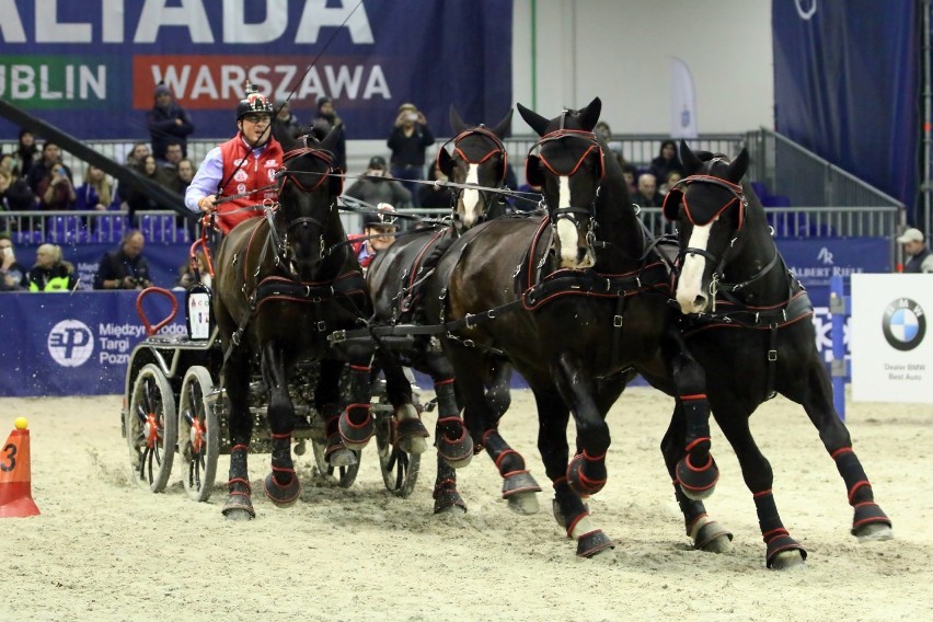 Trwa Cavaliada 2017 w Lublinie. Za nami pierwszy dzień (ZDJĘCIA)