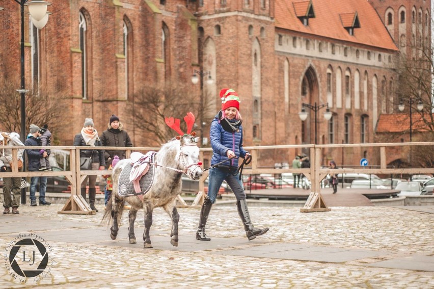 Kucyk pod choinkę. TRW Miłosna zaprasza na plac Jana Pawła II