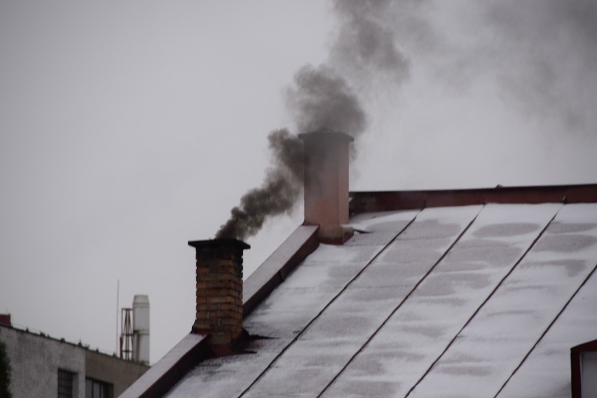 Odważny pomysł na walkę ze smogiem. W Tarnowie wprowadzą zakaz palenia węglem?