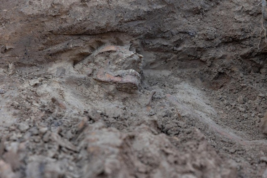 Ponad trzydzieści szkieletów odkryli archeolodzy podczas...