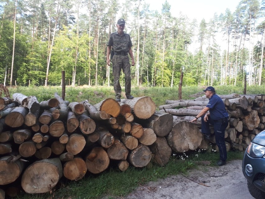 Wspólne działania Policji, Straży Leśnej i Straży Łowieckiej