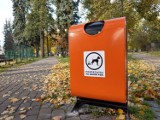 Nowość w koluszkowskim parku miejskim - ma zachęcać właścicieli psów do sprzątania po swoich pupilach