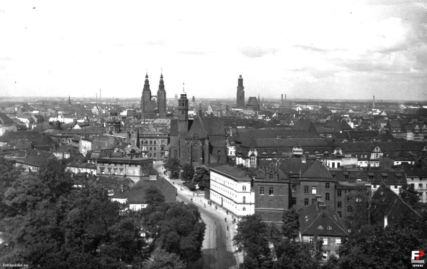 Wrocław. Jak 100 lat temu wyglądał pl. Dominikański? Zobacz archiwalne zdjęcia!