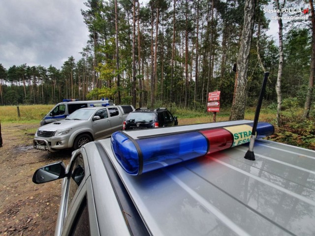 Akcja "Stroisz-21" w lasach Nadleśnictwa Siewierz z udziałem policjantów oraz strażników leśnych