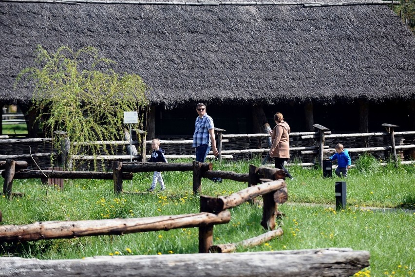 Majówka w Skansenie Archeologicznym Karpacka Troja w Trzcinicy