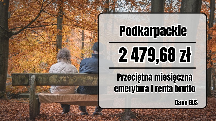 Największe emerytury w Polsce? Woj. śląskie na czele według danych GUS! Sprawdź RANKING TOP 15