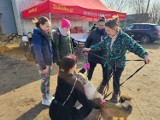 Wiosenny piknik w schronisku dla zwierząt w Sokółce. Chętnych do spacerów w psami nie brakowało. Zobaczcie zdjęcia