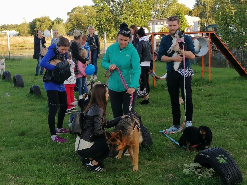 Kudłaty Piknik na wybiegu dla psów w Podczelu - zbierali na trzecią lampę