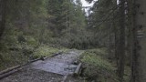 Halny w Tatrach. TPN zamknął szlak do Doliny Małej Łąki. Drogę zawaliły drzewa 