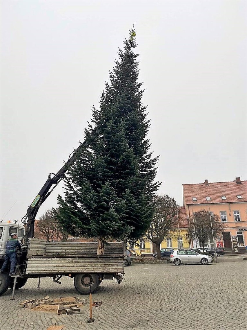 Na pniewskim rynku stanęła świąteczna choinka [FOTO]