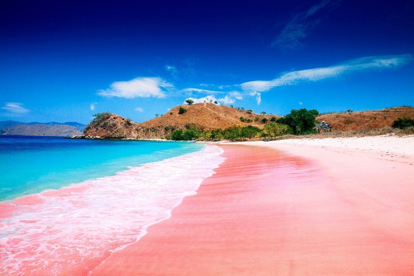 – Pink Sands Beach (Bahamy)...