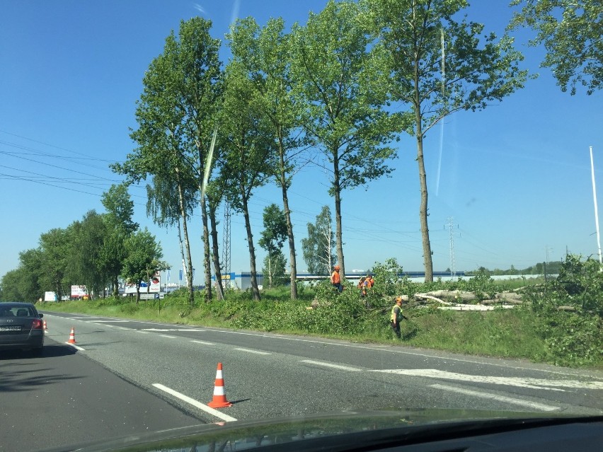 Trwa wycinka drzew przy DK94 w Sosnowcu