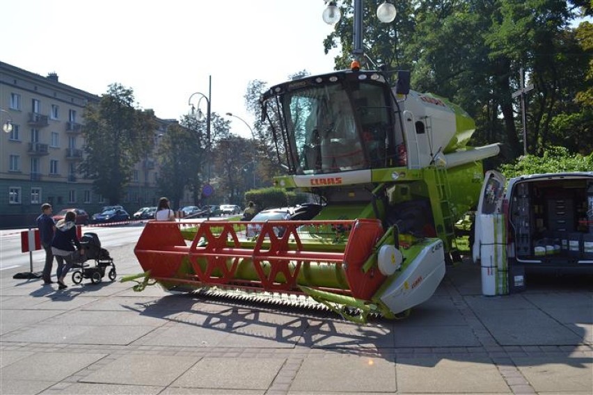 Dożynki w Częstochowie