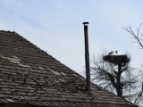 Bociany w Gorzycach: strażacy przygotowali gniazda