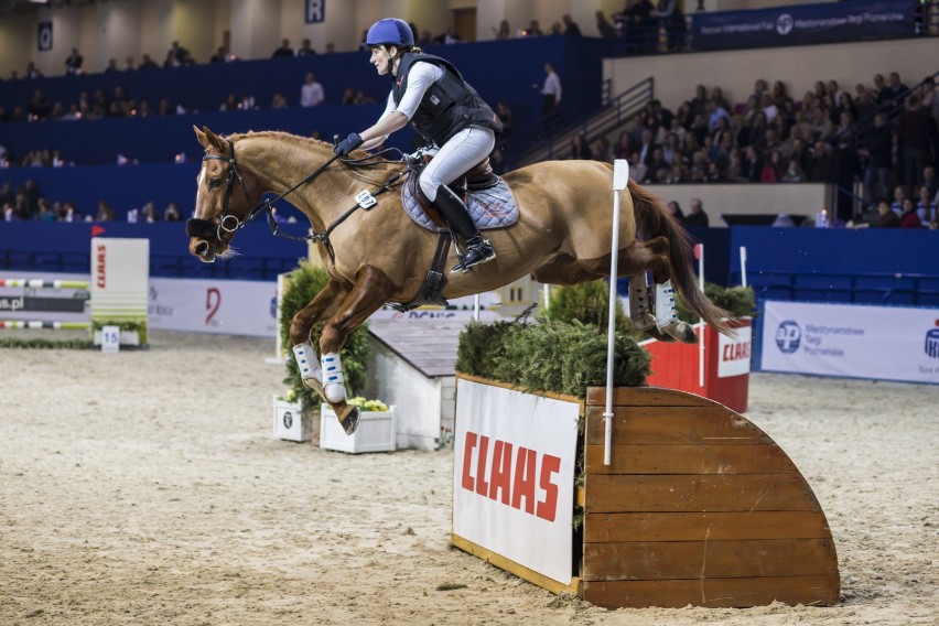 Cavaliada 2017, Warszawa. Najlepsi jeźdźcy i piękne konie...