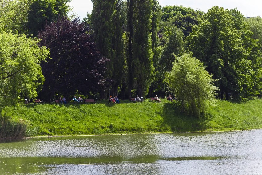 Park Szczęśliwicki na Ochocie