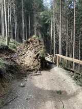 Wiatr w Tatrach osłabł. Główne szlaki zostały udrożnione. TPN jednak przestrzega przed wyprawami w góry