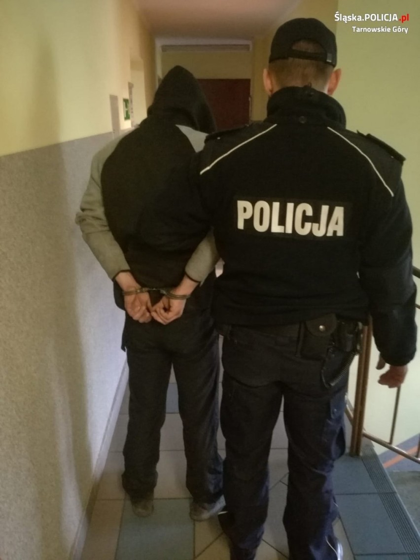 Policja złapała złodzieja ze Zbrosławic