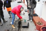 Trzemeszno. Części macew żydowskich odkryto na jednej z ulic miasta. Służyły jako… krawężniki