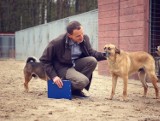 Łukasz Balcer: Adoptując psa, ratujesz dwa [rozmowa NaM, akcja PODAJ IM ŁAPĘ]