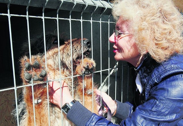 Zdzisława Szyling od lat opiekuje się porzuconymi zwierzętami