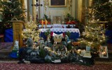 Piękna bożonarodzeniowa szopka w kazimierskiej parafii. Zachwyca misterią wykonania i tworzy niesamowity świąteczny klimat [ZDJĘCIA]    