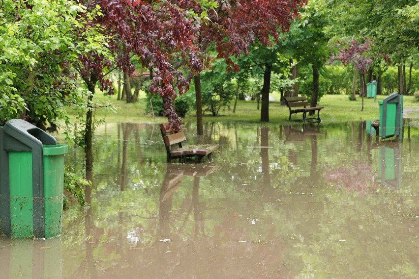 Kaliski Park nad Krępicą znalazł się pod wodą