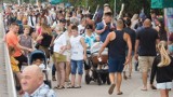 Tłumy turystów w Kołobrzegu. Zobacz zdjęcia z deptaka i plaży