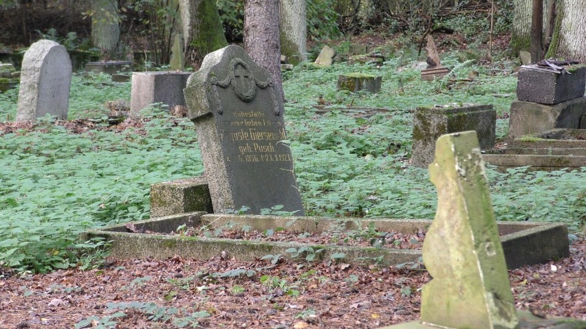 Zapomniane poniemieckie cmentarze w Dolinie Baryczy