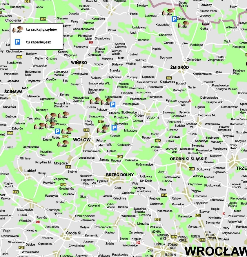 Mapka powstała we współpracy z Regionalną Dyrekcją Lasów...