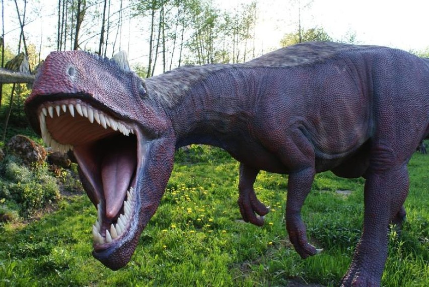 JuraPark Bałtów
- ok 72 km od Kraśnika

Park Dinozaurów -...