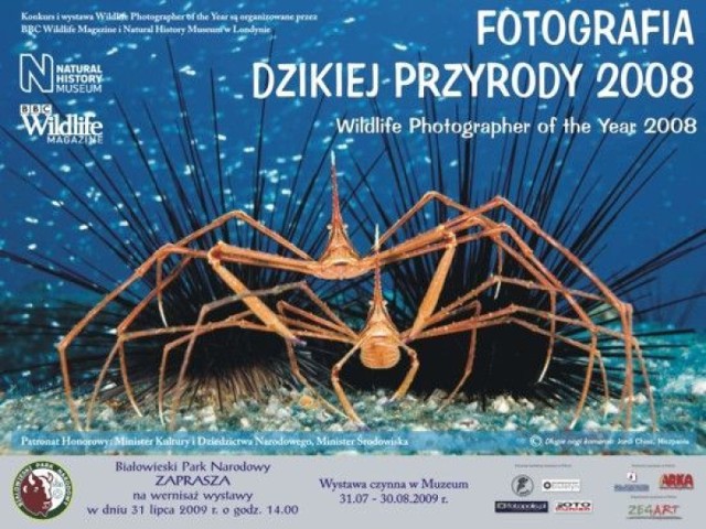 Afisz informujący o inauguracji wystawy w Muzeum Białowieskiego Parku Narodowego