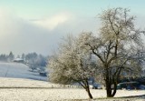 Sądecczyzna. Tam mają śnieg. Poranek na górze Malnik w Muszynie