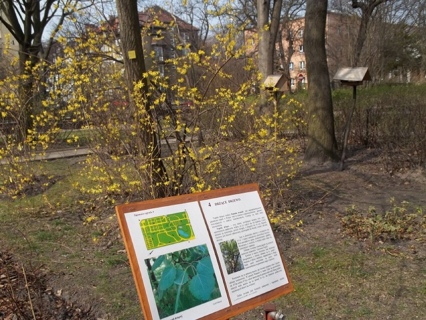 Ogród Botaniczny UKW