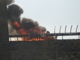 Pożar BMW na autostradzie A1 między Włocławkiem, a Nowym Ciechocinkiem [zdjęcia]