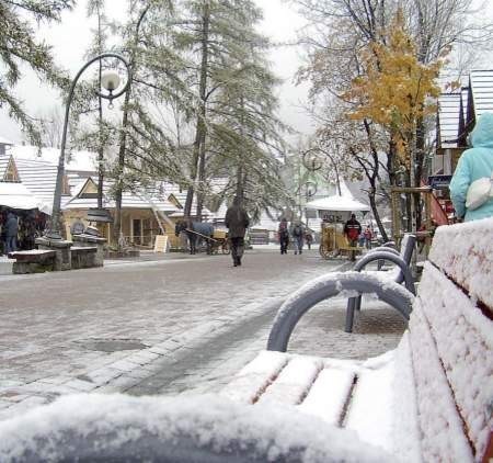 Wczoraj przez cały dzień w Zakopanem padał śnieg



   FOT. PRZEMYSŁAW BOLECHOWSKI