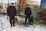 Policja: Nero i Vigo na tropie zła