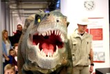 Dzień Dinozaura w Centrum Przyrodniczym w Zielonej Górze. Dwa dni atrakcji i nauki dla całych rodzin [ZDJĘCIA]