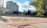 Dąbrowa Górnicza - Mydlice: To środek osiedla, a trawa sięgała tu po kolana
