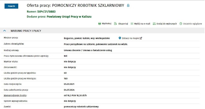 Najnowsze oferty pracy w Kaliszu i powiecie. Sprawdź ile można zarobić