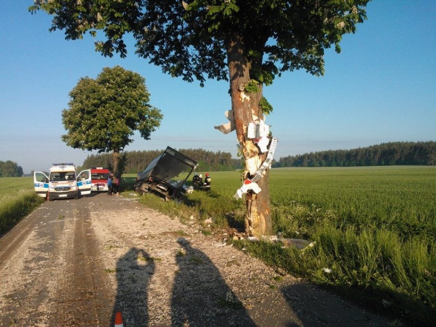 Ciężarówka uderzyła w drzewo w Białutach [zdjęcia]