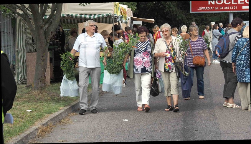 Giełda Ogrodnicza w Koszalinie za nami  [ZDJĘCIA]