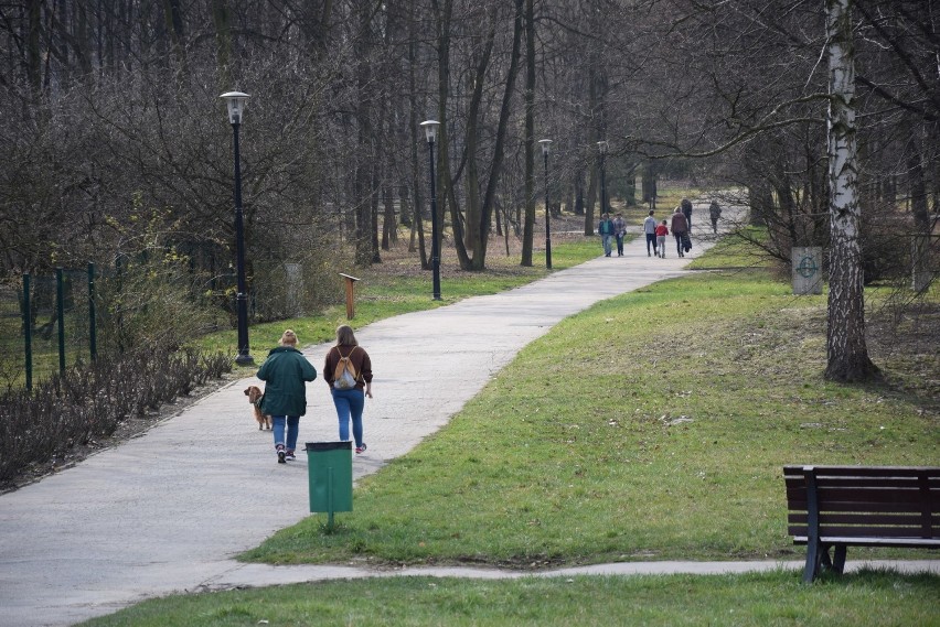 Pełno spacerowiczów w Parku Śląskim. Czy to bezpieczne?