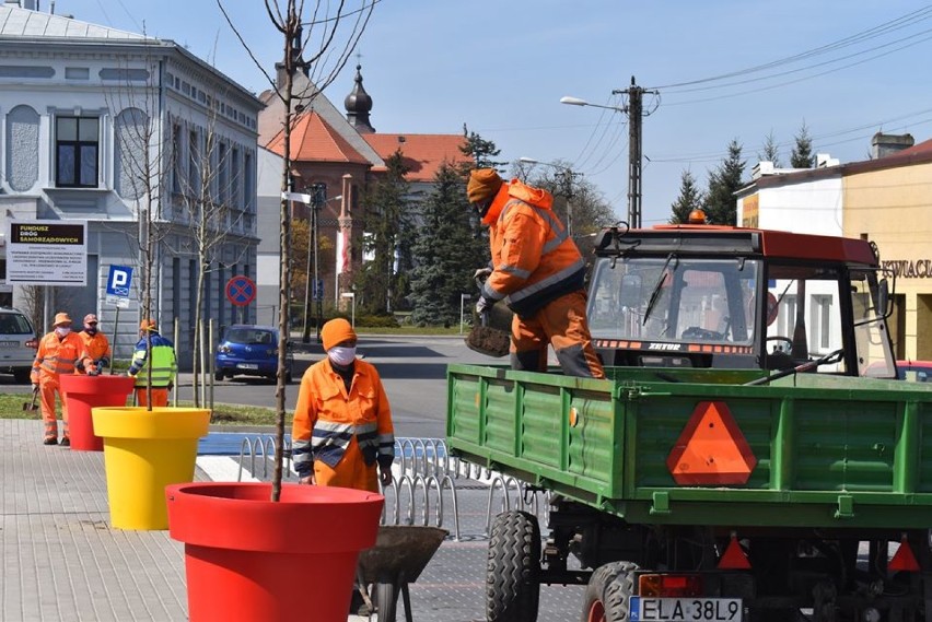 Plac Piłsudskiego w Łasku. Jest kolorowo, jest zieleń, będą ławki [zdjęcia]