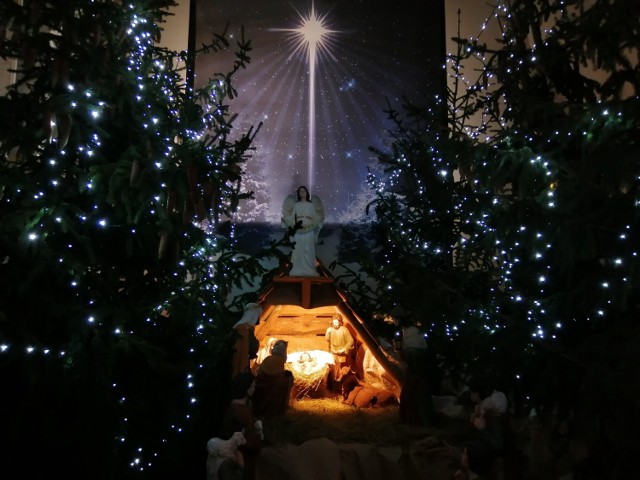 Boże Narodzenie 2020, Piotrków: szopki bożonarodzeniowe w kościołach w Piotrkowie