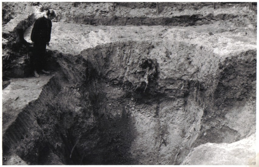 Badania archeologiczne prowadzone przez w latach 1984-1987 przez Stanisława Firszta, ówczesnego pracownika Okręgowego Muzeum Miedzi w Legnicy