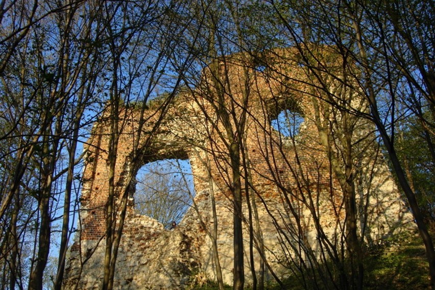 Bochotnicki zamek ma być atrakcją turystyczną gminy Kazimierz Dolny